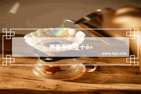 芦荟开花变十黄需要怎么做才会养好
