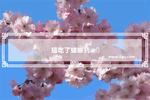 猫吃了蟑螂药怎么办