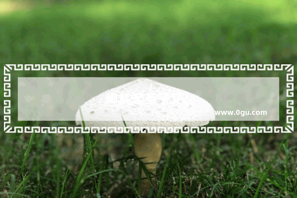 脚底起茧子又硬走路还疼怎么办