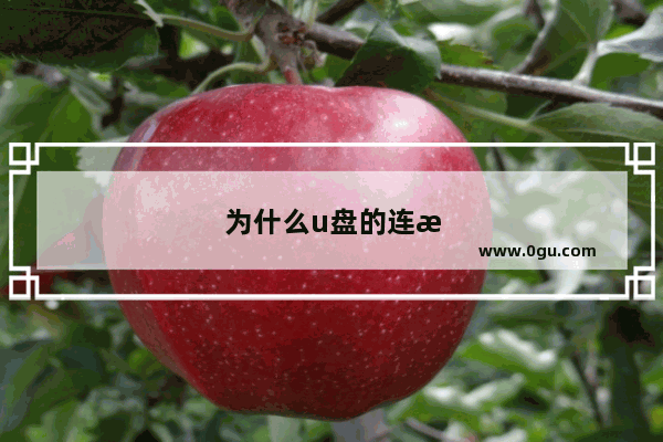 为什么u盘的连接方式不能换了