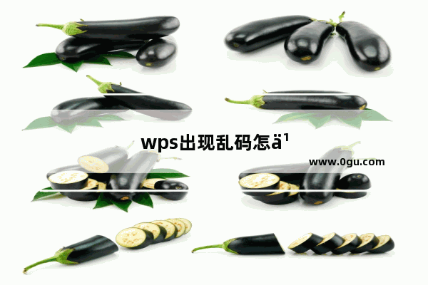 wps出现乱码怎么办修复不成功