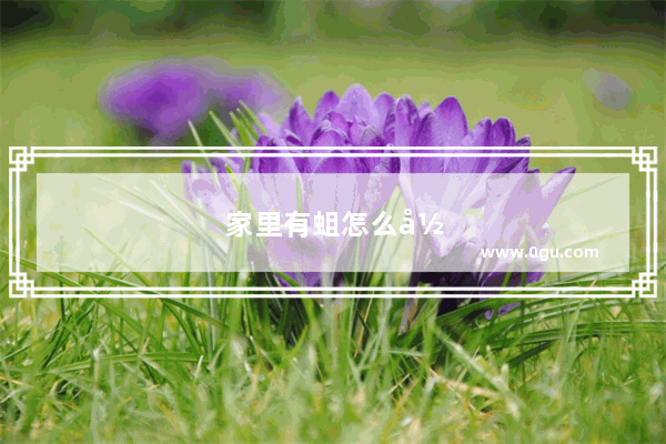 家里有蛆怎么彻底消灭
