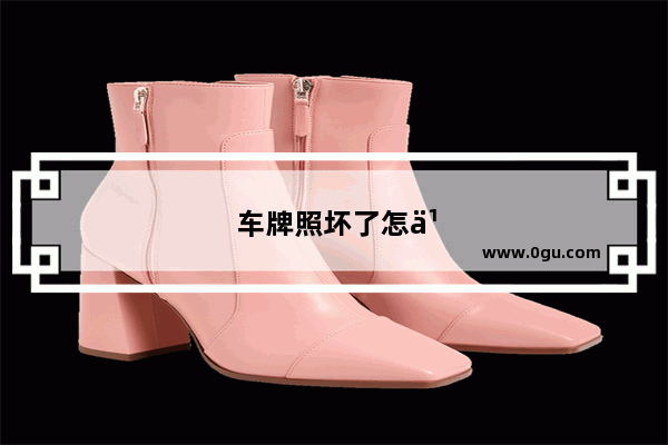 车牌照坏了怎么办能补办吗
