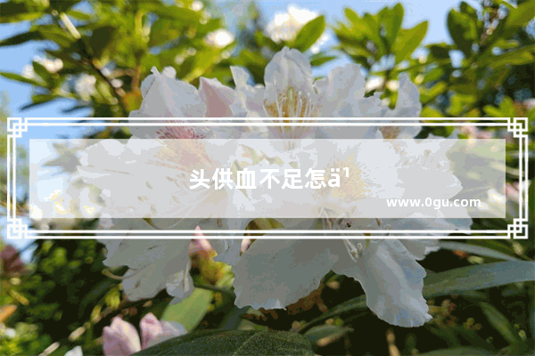 头供血不足怎么办用什么方法治呢