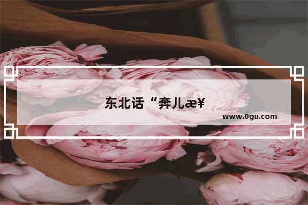 东北话“奔儿楼” 是什么意思
