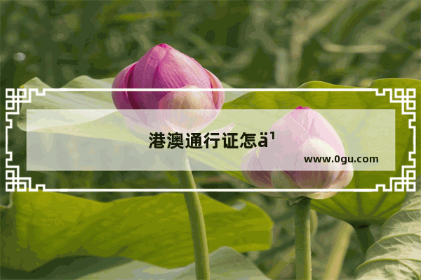 港澳通行证怎么办签注手续