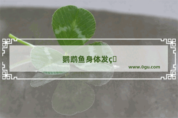 鹦鹉鱼身体发白怎么回事