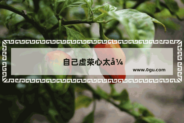 自己虚荣心太强怎么办