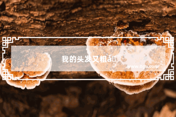 我的头发又粗又硬 怎么把他变软啊 做软化有用吗