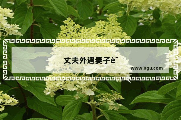 丈夫外遇妻子该怎么办
