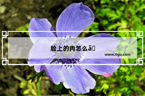 脸上的肉怎么减掉