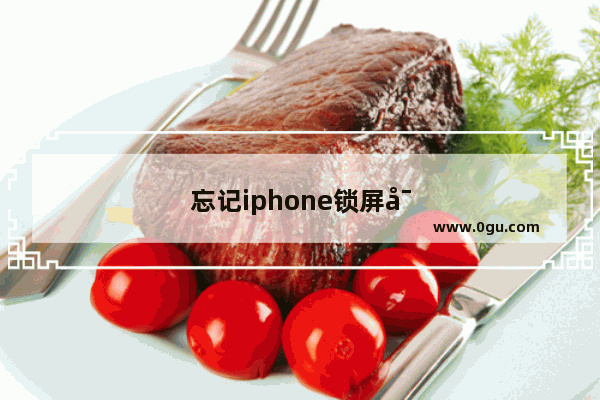 忘记iphone锁屏密码怎么办