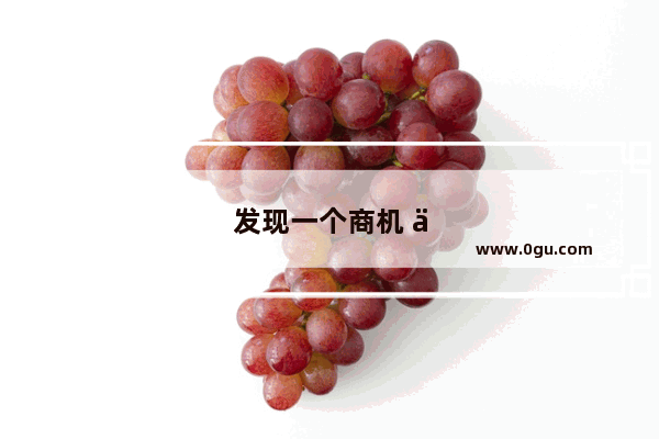 发现一个商机 但是没有启动资金怎么办