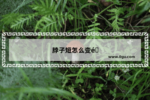 脖子短怎么变长