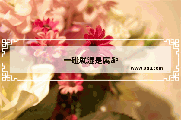 一碰就湿是属于什么体质