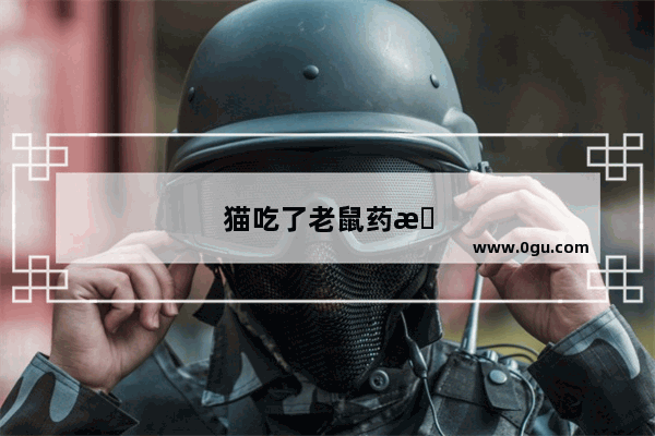 猫吃了老鼠药怎么办用简便方法