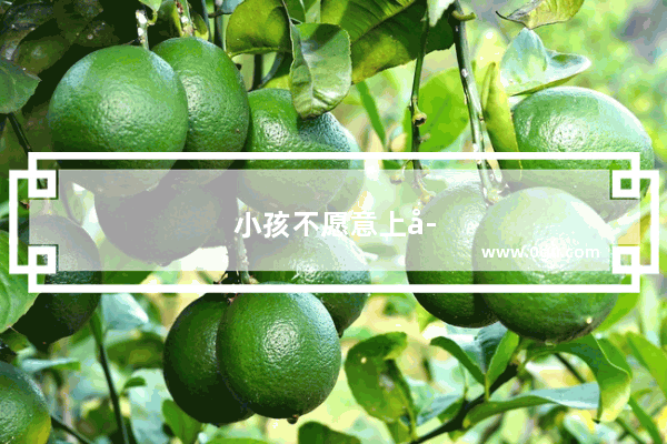 小孩不愿意上学怎么办教你几招