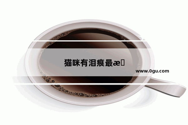 猫咪有泪痕最有效的解决方法