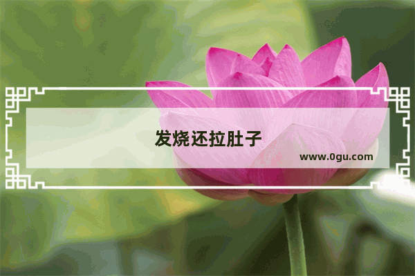 发烧还拉肚子