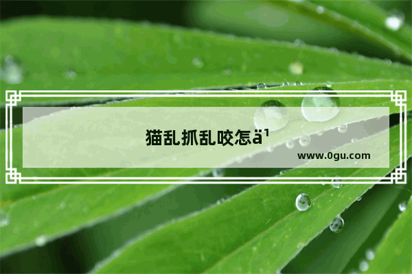 猫乱抓乱咬怎么办