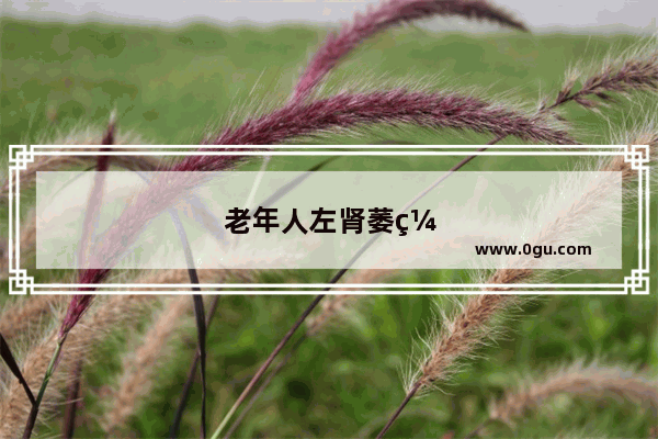 老年人左肾萎缩怎么办