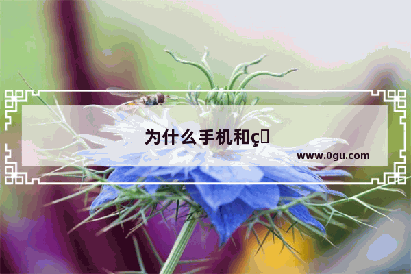 为什么手机和电脑连接不了