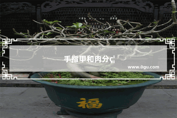 手指甲和肉分离是怎么回事