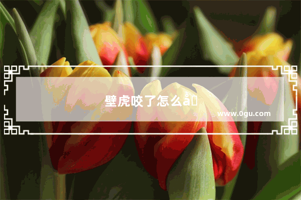 壁虎咬了怎么办图片