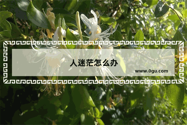 人迷茫怎么办
