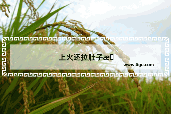 上火还拉肚子怎么办最有效