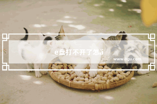e盘打不开了怎么办