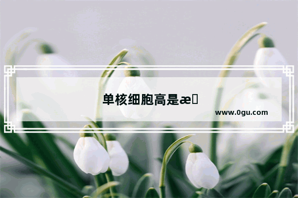 单核细胞高是怎么回事