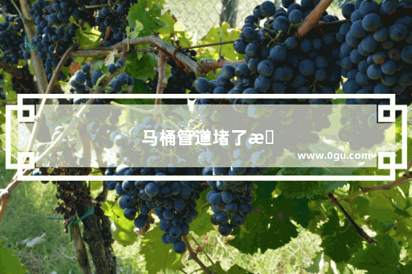 马桶管道堵了怎么办怎样疏通 妙招