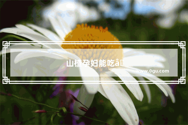 山楂孕妇能吃吗