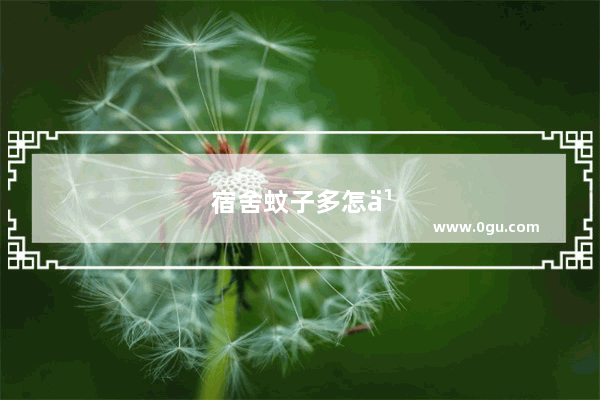 宿舍蚊子多怎么有效的驱蚊