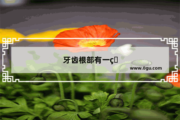 牙齿根部有一点小缺损 又不想去医院补牙换牙 有什么自然修复的好方法吗