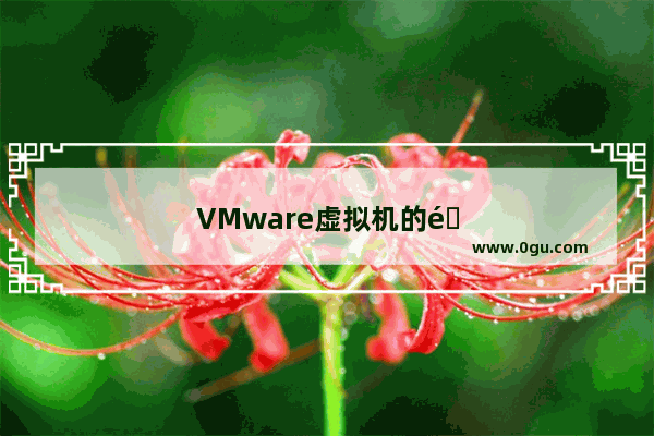 VMware虚拟机的锁定密码忘了怎么办