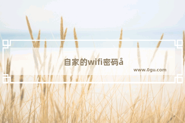 自家的wifi密码忘了怎么办