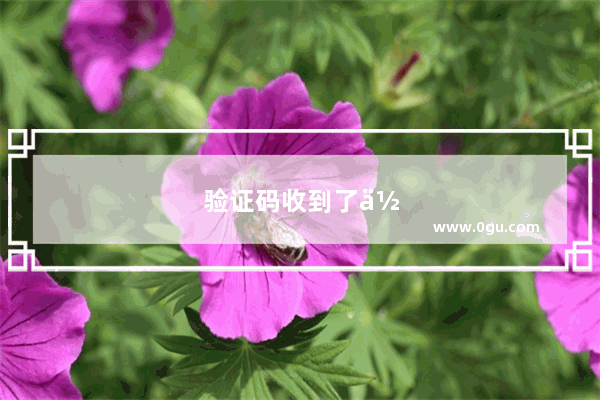 验证码收到了但是看不到该怎么办