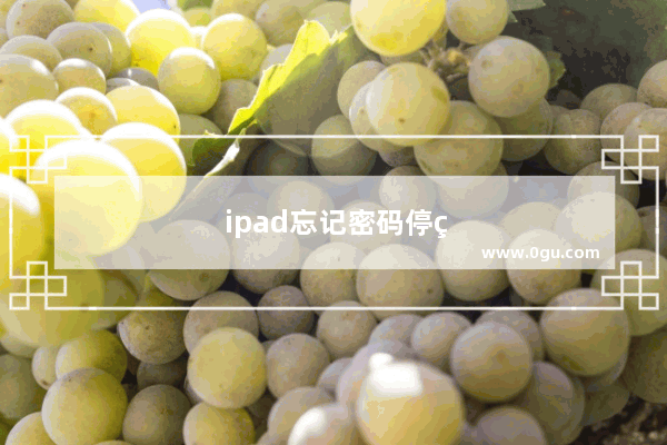 ipad忘记密码停用怎么办视频