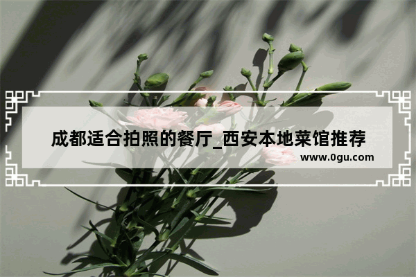 成都适合拍照的餐厅_西安本地菜馆推荐