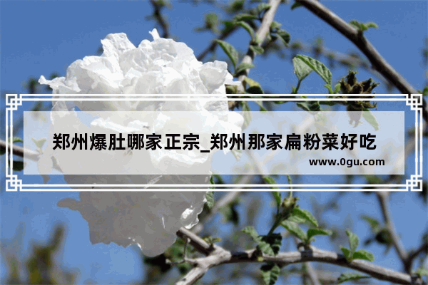 郑州爆肚哪家正宗_郑州那家扁粉菜好吃
