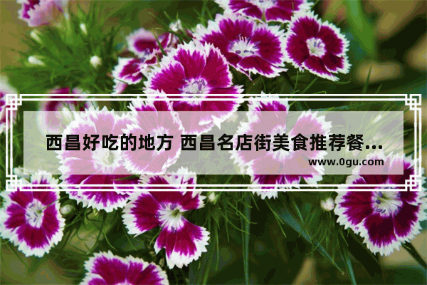 西昌好吃的地方 西昌名店街美食推荐餐厅在哪里开业的