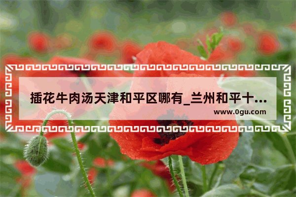 插花牛肉汤天津和平区哪有_兰州和平十字那家的手抓好吃
