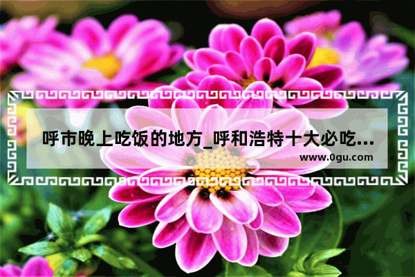 呼市晚上吃饭的地方_呼和浩特十大必吃苍蝇馆子
