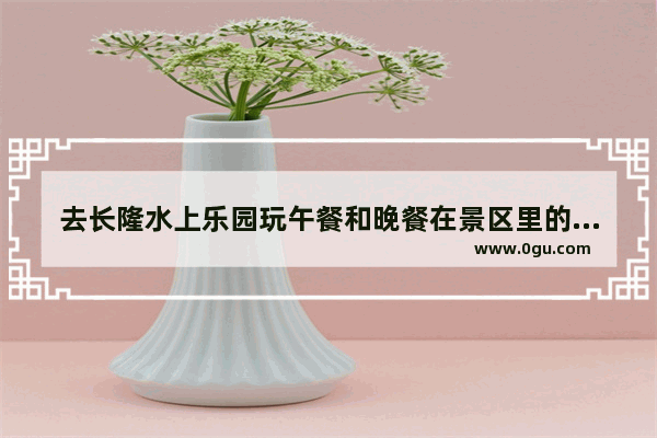 去长隆水上乐园玩午餐和晚餐在景区里的哪家餐厅吃好人均消费多少,长隆附近美食推荐自助套餐有哪些店铺呢