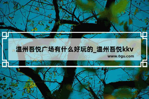 温州吾悦广场有什么好玩的_温州吾悦kkv在几楼