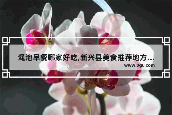 渑池早餐哪家好吃,新兴县美食推荐地方在哪里啊