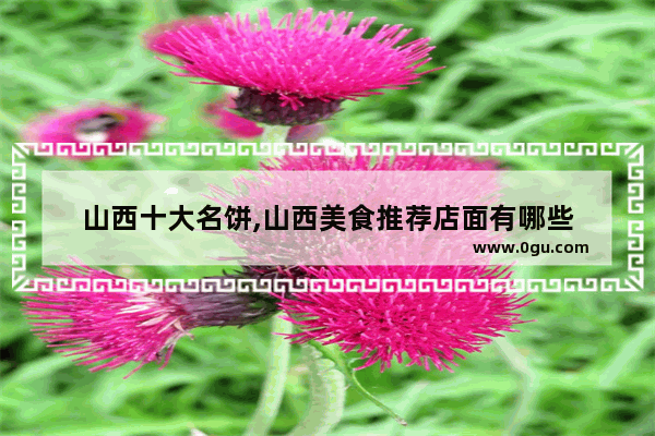 山西十大名饼,山西美食推荐店面有哪些