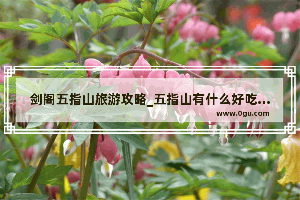 剑阁五指山旅游攻略_五指山有什么好吃好玩的呢